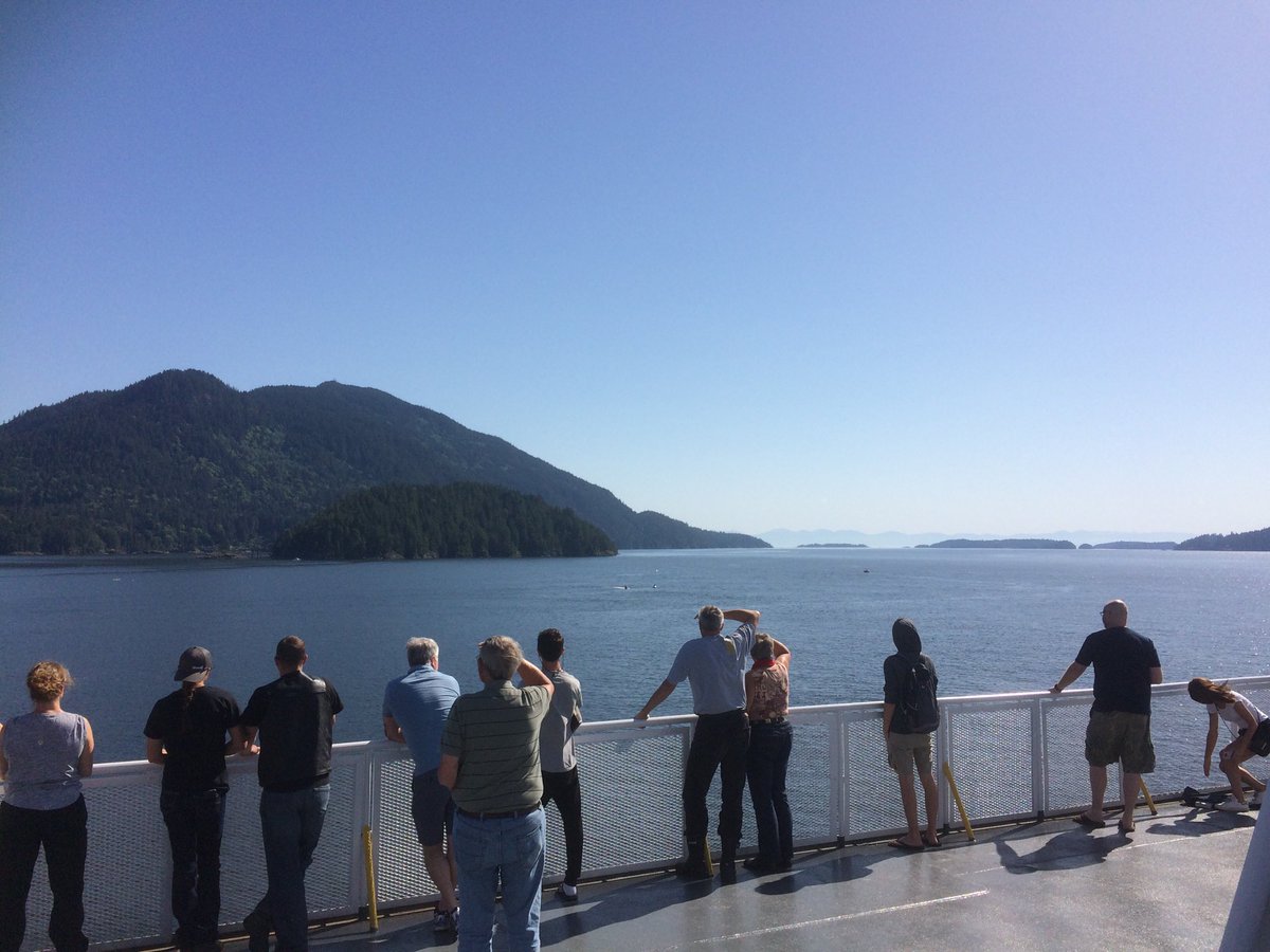 Epic day on the deck today watching a couple of orcas dip and dive.
