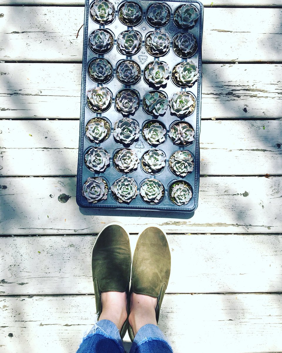 twig flowers tweet media