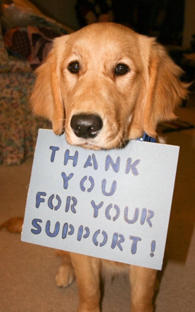 PrisonPetWA's tweet photo. A HUGE thank you for all your donations for #GiveBIG.  Our total raised was $8,723!  

We were a mere $1,277 away from our goal.  If you forgot to schedule your donation, you can still #donate:  https://t.co/Qqc50tSQrv

#fundraising #charity #nonprofit #givelocal #prisons https://t.co/w56TaDekJg
