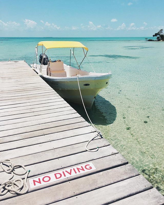 What I wish I was doing: Boating in Belize 👌🏼 What I am doing: Packing for a 7am flight 🤦🏻‍♀️ #MyDomaineTravels ift.tt/2IgJL0y