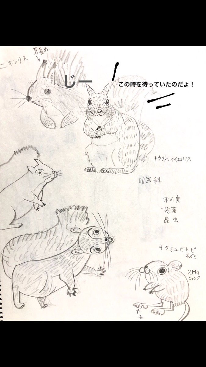 2年位前に集めた資料が、その時はボツになったけど、ひょんな事から役立ちそうで嬉しい。救われる… 