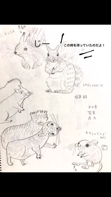 2年位前に集めた資料が、その時はボツになったけど、ひょんな事から役立ちそうで嬉しい。救われる… 