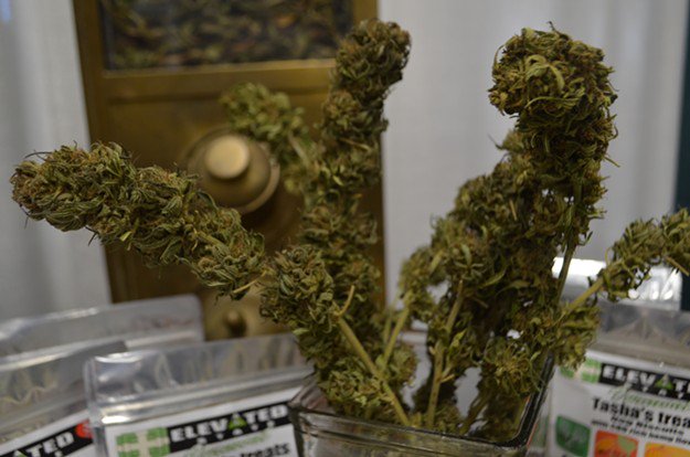 NE_CANN's tweet photo. Scenes From the First Vermont Cannabis Convention #VTCANN18 https://t.co/SdvnnctuND via @sevendaysvt @NYCitySasha
"It's a really nice cross-section of businesses in the industry," she said. "Everyone's excited to be here." @headyvermont #vtpoli #BurlingtonVT https://t.co/UPmF0cp5kY