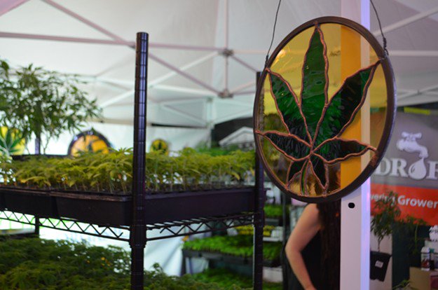 NE_CANN's tweet photo. Scenes From the First Vermont Cannabis Convention #VTCANN18 https://t.co/SdvnnctuND via @sevendaysvt @NYCitySasha
"It's a really nice cross-section of businesses in the industry," she said. "Everyone's excited to be here." @headyvermont #vtpoli #BurlingtonVT https://t.co/UPmF0cp5kY