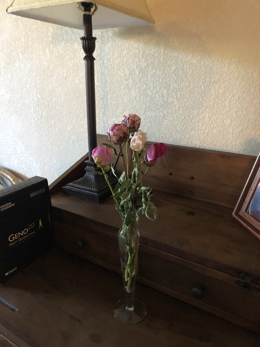 tmanzer's tweet photo. Ordered $70 in  peonies for mom from @TheBouqsCo two weeks ago with scheduled delivery date for Saturday, May 12th. FedEx sent a notice saying they’d arrive at noon Saturday. They didn’t show up until today, May 14th, after 9 am. This is what they looked like https://t.co/hnpsWj9BwV