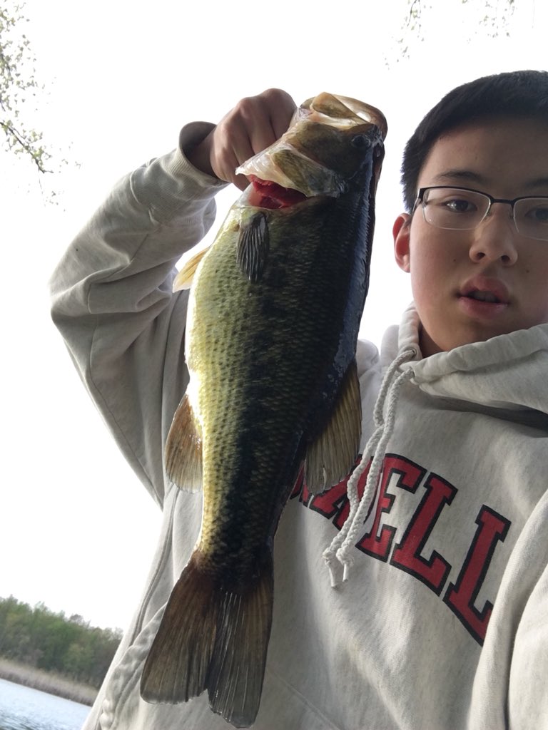NYFishin's tweet photo. Thanks to @XZoneLures and @dunamisrods I was able to get back on the bass. https://t.co/RETKm2e4fa