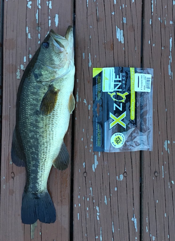 NYFishin's tweet photo. Thanks to @XZoneLures and @dunamisrods I was able to get back on the bass. https://t.co/RETKm2e4fa
