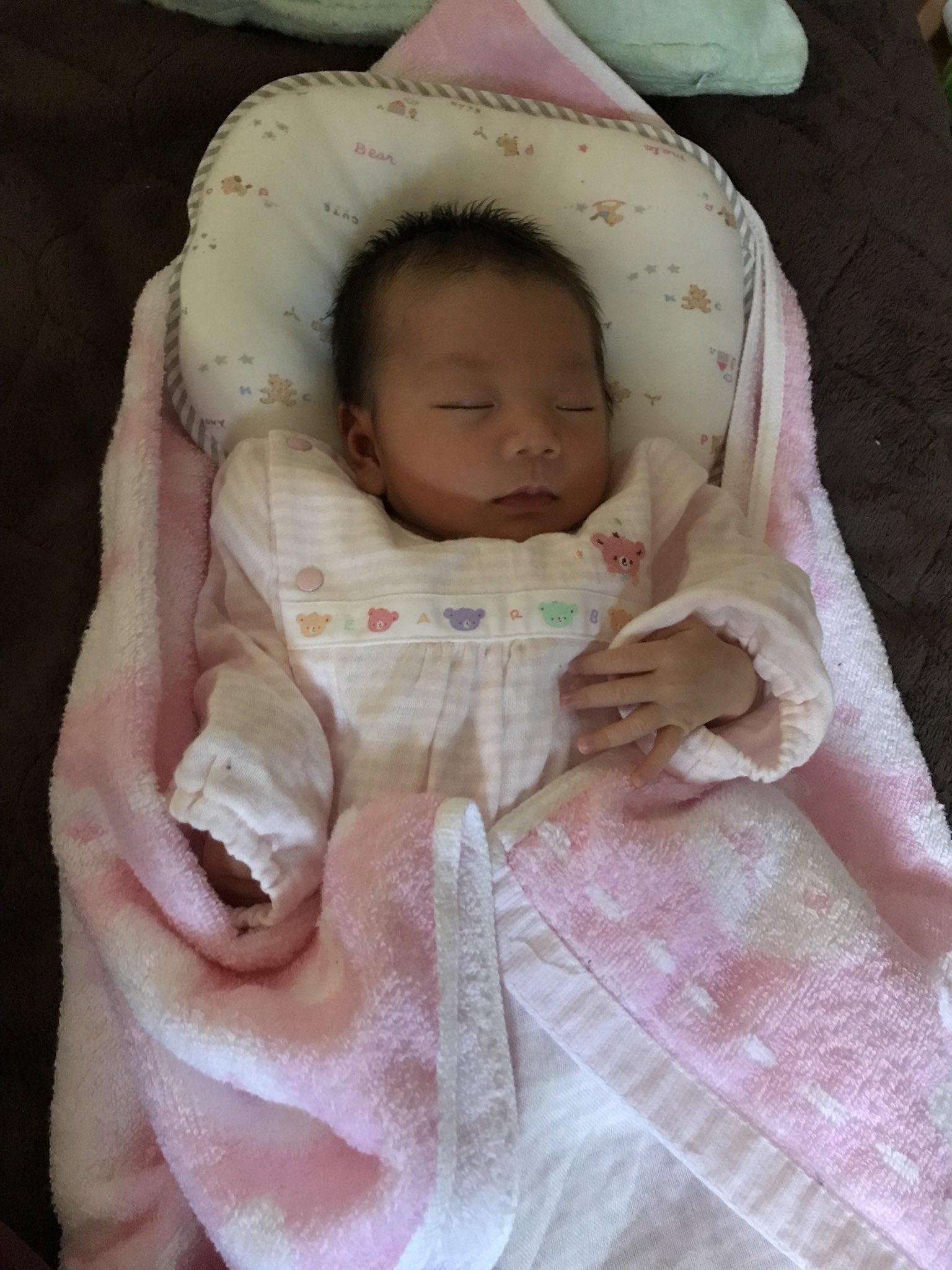 しらまろ ぼく家族 寝相が悪いまろさん 基本的に大の字が万歳スタイルで寝ます 起きてるのかと思うくらい動きます 1枚目は貴重な 普通の寝方 です ぼく家族 しらまろ 五月病なので新生児の頃の写真で癒される T Co R77w4ufx4r Twitter