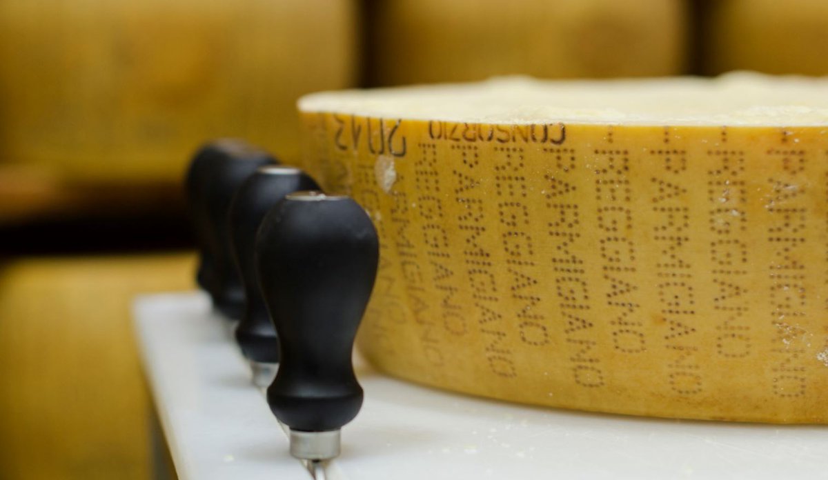 ParmesanAus's tweet image. #ParmigianoReggiano has numerous characteristics: High #digestibility, high #calcium content present in a particularly #bioavailable form, absence of #additives and #preservatives, #richness in #minerals,  organoleptic (uses all senses) and great #taste!