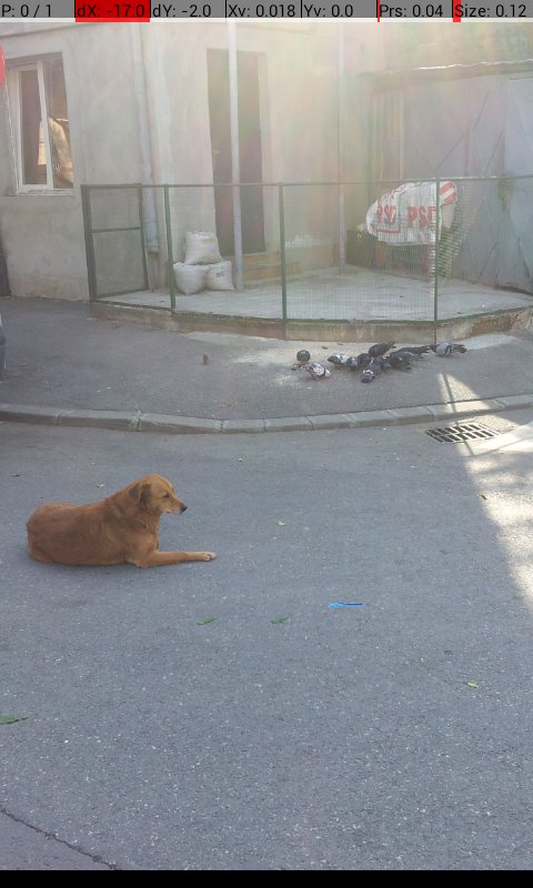 As0cSarL's tweet image. Sarletele de #basarab ofera servicii de paza si protectie. Si de #calitate #stas .
#bucuresti
#garadenord
#calumea