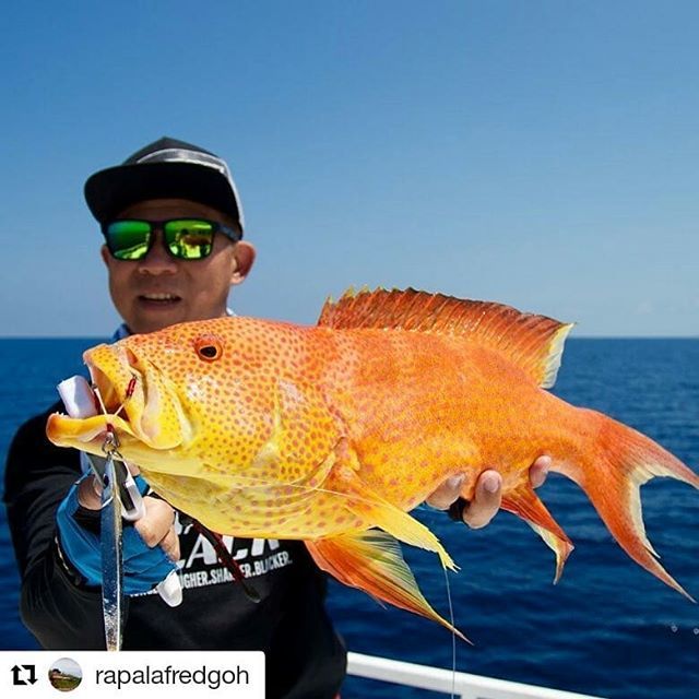 vmchooks's tweet photo. #Repost @rapalafredgoh
・・・
Speed jigging with Super Gomoku 100g UVSI #stormfishing #stormjig #supergomoku #vmc #vmchook #coronationtrout https://t.co/nysUhkBbQ4 https://t.co/L2CmGGIVpE