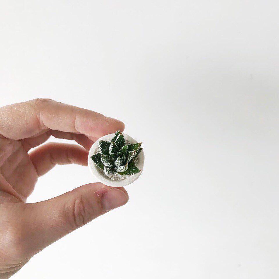youminimalism's tweet photo. https://t.co/4Fi8vWXH9W