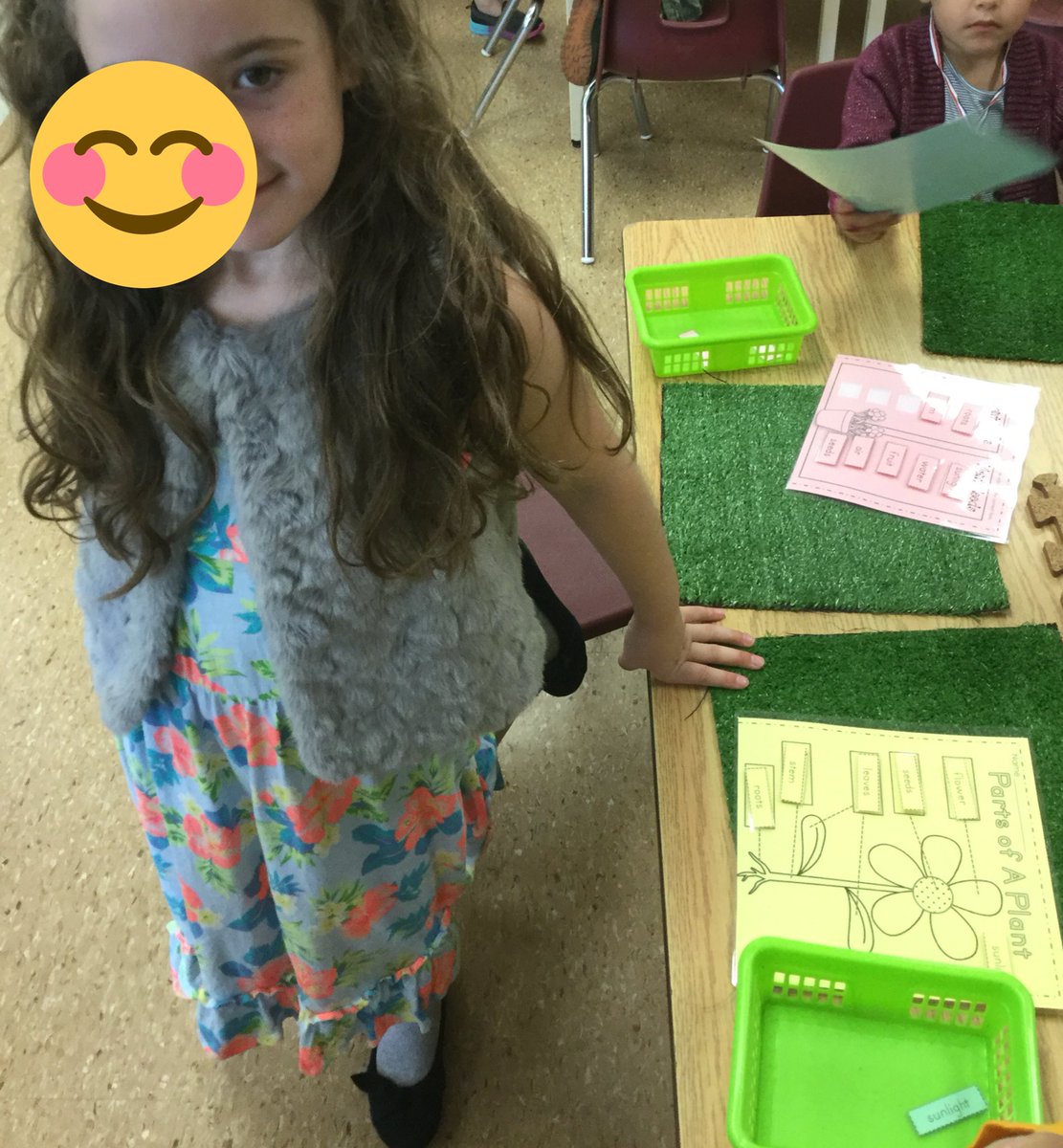 MacellaioFDK3's tweet photo. Students demonstrating their knowledge of parts of a plant & the life cycle of a plant 😃🌷🌸 #FDKscience #FDKinquiry #FDKliteracy @DPCDSB_BFA https://t.co/NCjp3Cf4pR