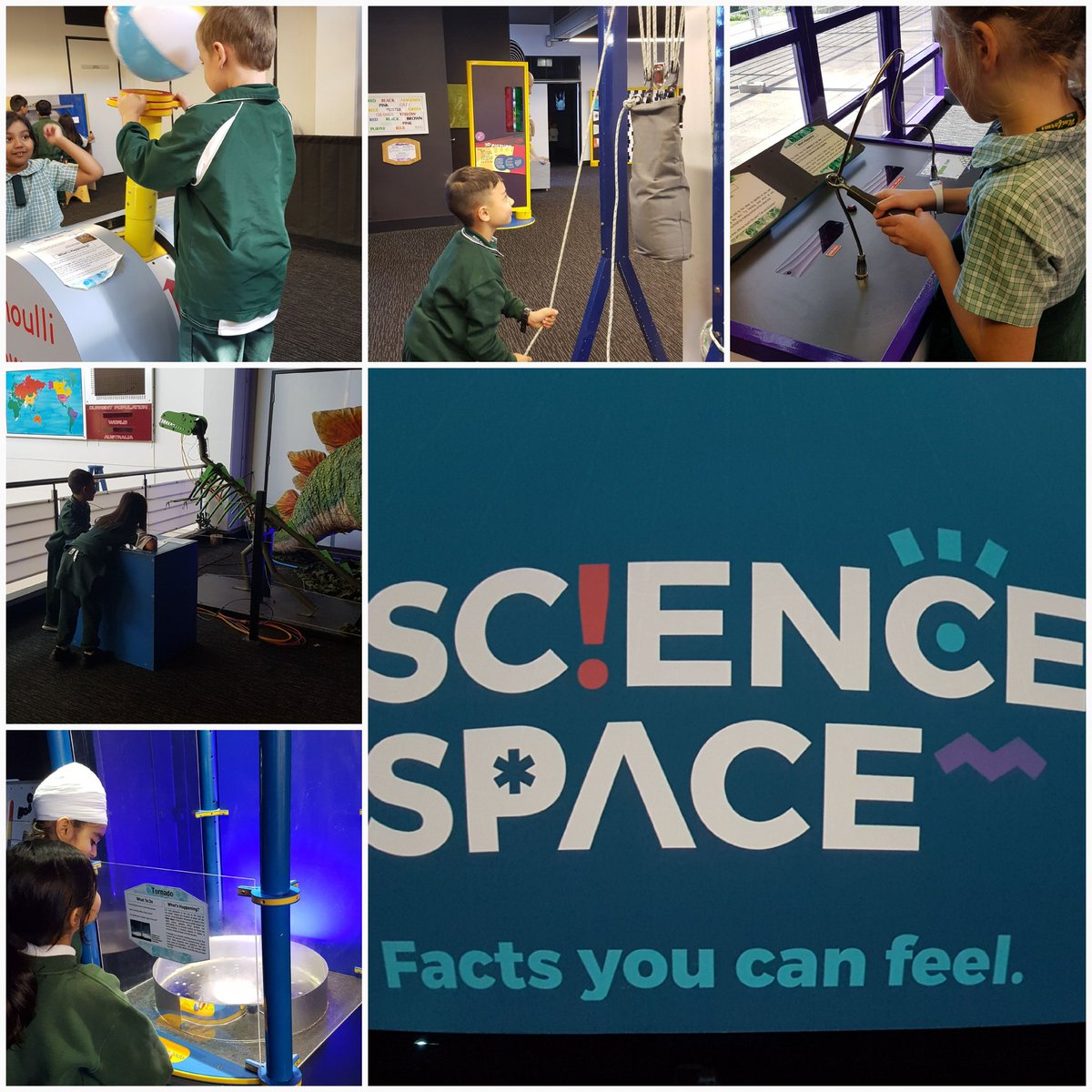sarina_m7's tweet photo. Stage 1 are enjoying their excursion at the Science Space Centre Wollongong #activeminds @Illaw @IngleburnPs @kelly_mccray @MissHolman17 https://t.co/sE2XNIX7Ni