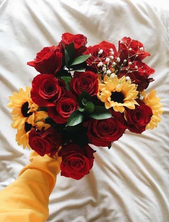 sunflowerlust's tweet photo. sunflowers and roses are the key to my heart 💛 https://t.co/1Jzzu7hTGy