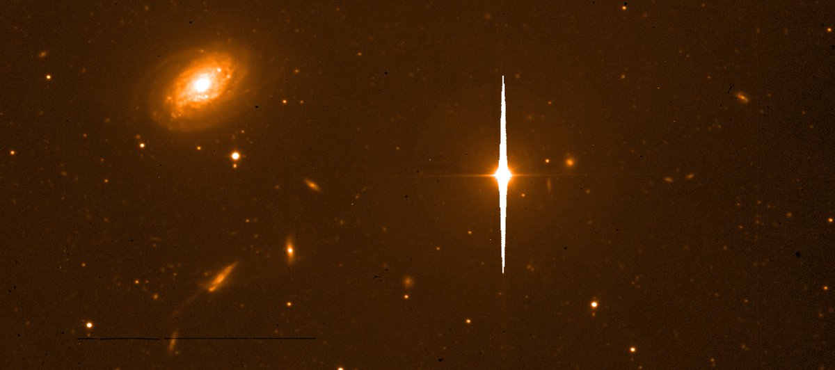 dr_sobral's tweet photo. A zoom in of some data coming out after integrating for 1000s with the NB501 filter. We are now looking at signatures from hot O and B stars in galaxies 11.6 billion years ago, but some closer galaxies and stars always get in the way. @LancUniPhysics https://t.co/T82scTU6kt