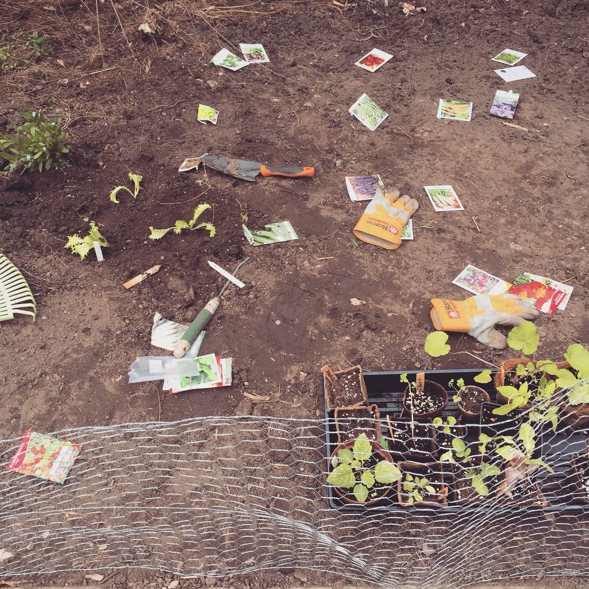 andrea_mc_'s tweet photo. @ClimateHuman I needed some personal time after a busy weekend. Instead of working today, I planted a vegetable garden. Productive day? Need random affirmation via twitter, I have procrastination guilt. 😕 https://t.co/3ry52vGU3K