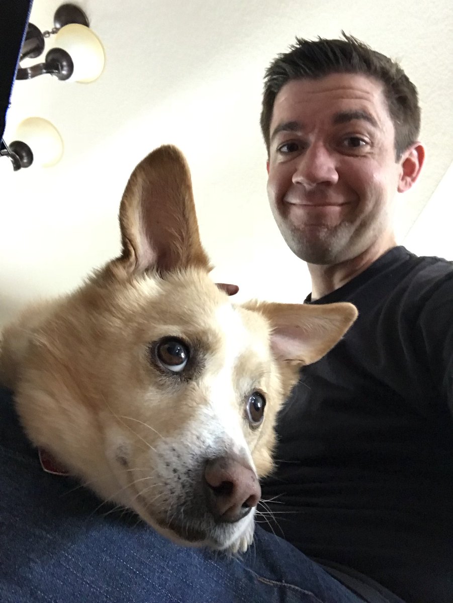 markhaastv's tweet photo. @JoshuaDover This is Dale. He used to live on the streets of Bakersfield, but now he’s a big city spoiled dog. I have no thoughts on your argument but I like tweeting pictures of #DaleDog. https://t.co/l3WyfinNTW