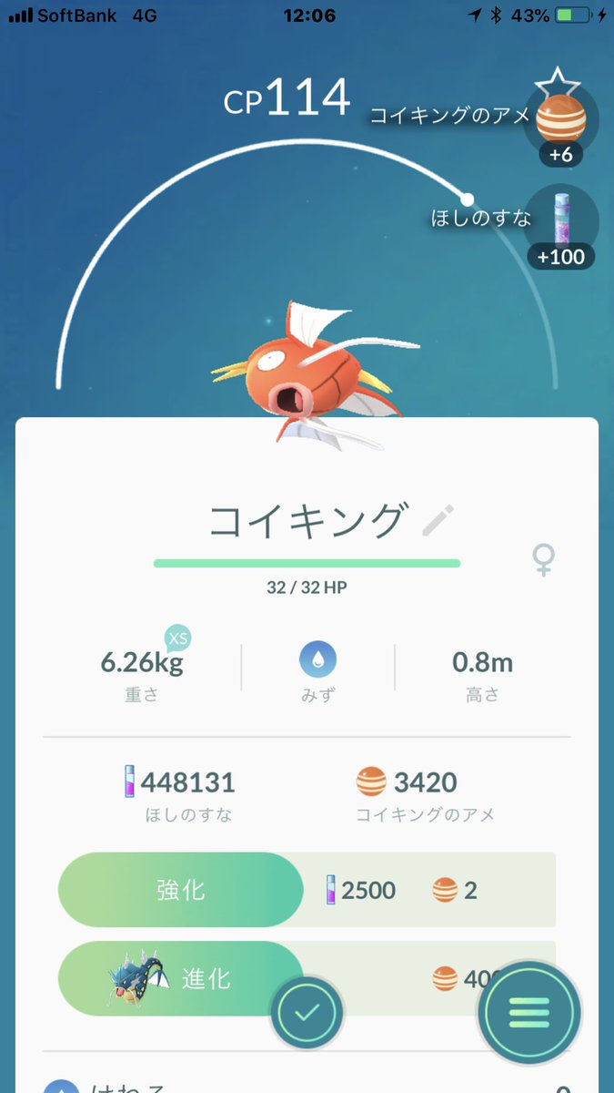 ট ইট র 猫の飼い主 ポケモンgo レイドバトル1106回目のクリア レベル1でコイキング 1人で対戦 残り時間130秒 コイキングをゲット Cp114 評価は驚異的 ট ইট র 猫の飼い主 ポケモンgo レイドバトル1106回目のクリア レベル1でコイキング 1人で対戦 残り時間130秒 コイキングをゲット Cp114 評価は驚異的