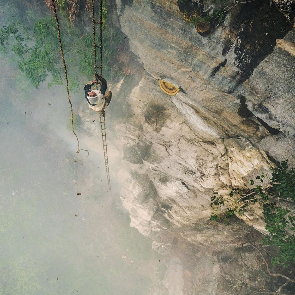 Outsideio's tweet photo. Mauli Dhan, the last in his Nepali village to be chosen to hunt the honey, climbs his handwoven bamboo ladder to harvest hallucinogenic honey.

>> Photo by @renan_ozturk #ROAM https://t.co/sfnZ1Q9et1