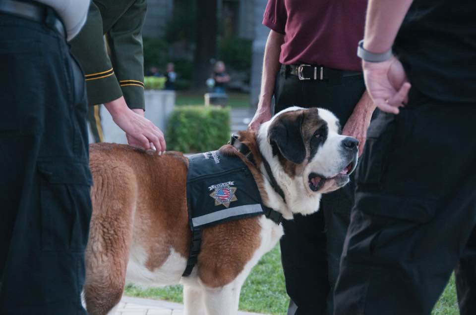 Our Chaplains Mindi, Vickie &amp; Tammy are out in DC this week to pay tribute and honor fallen officers. God Bless them and all who have attended LE memorial events here and all over!