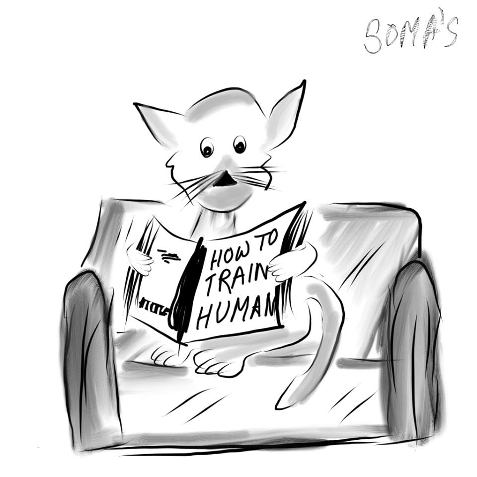 somadexterous's tweet photo. #CartoonNetwork #cartoon #cartoons #CartoonHD #cartography #cartographybook #doodle #Doodle4Google #Painter #painting #drawings #drawingwhileblack #cats #catlovers #catlover #catlove #trainhuman #TRAIN #Training #traininghuman #CatsOfTwitter #howtotrain #human #loveforpet #pets https://t.co/iYg0vCRbDX