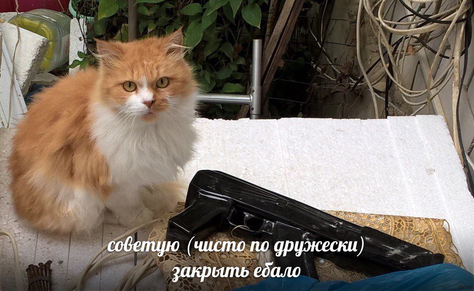 VasiliskEye's tweet photo. Сука, твари. ��то в 7:30 долбит в металические двери? Зачем, зачеем? Ненавижу вас. Уроды. https://t.co/8vESiAzaqY