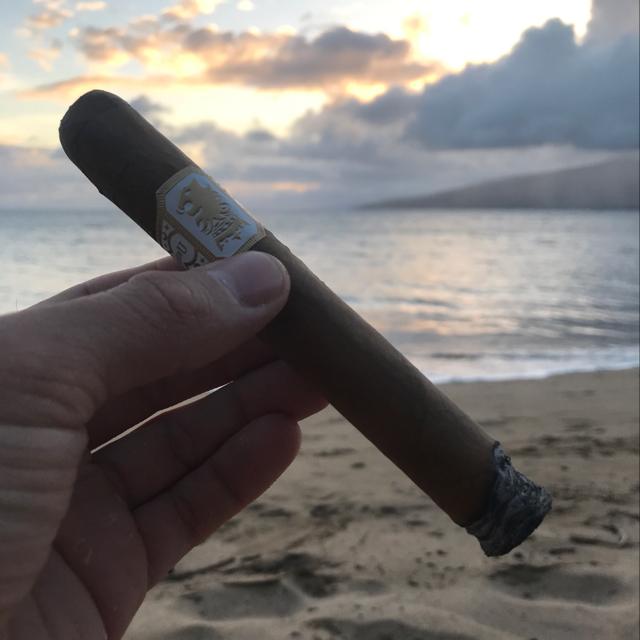 Austin Taylor tweet media