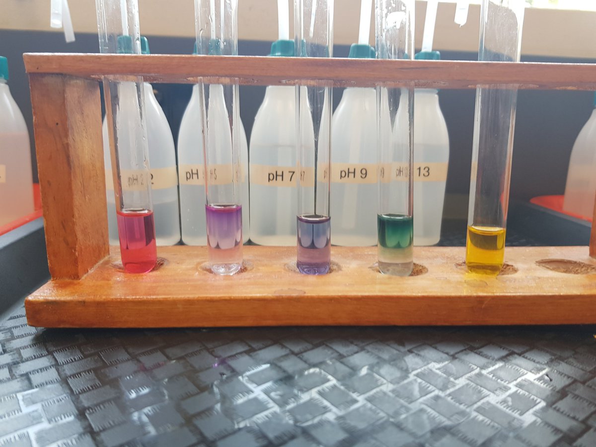Different pH levels #ACUedu_p