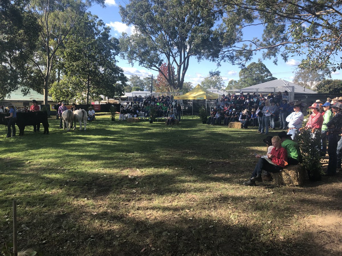 PeteMcGil's tweet photo. Great day at the @ERS_UNE education sessions today at #WinghamBeefWeek18 with 380 students all keen on #agriculture https://t.co/3bywwr2HJ9