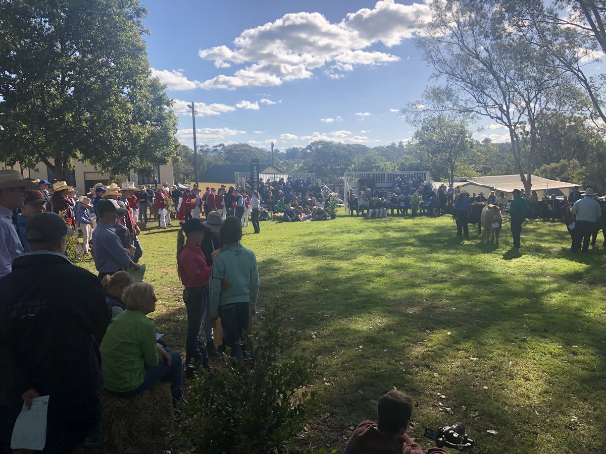 PeteMcGil's tweet photo. Great day at the @ERS_UNE education sessions today at #WinghamBeefWeek18 with 380 students all keen on #agriculture https://t.co/3bywwr2HJ9