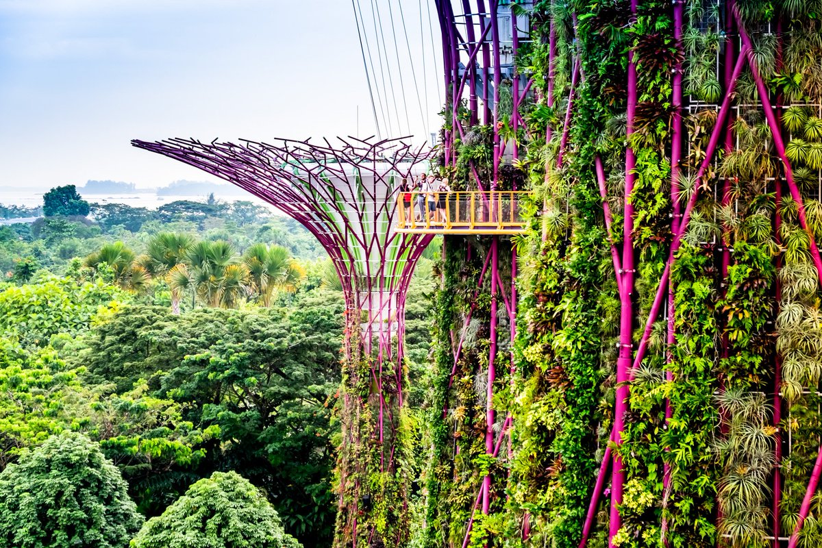 goTRAVAA's tweet photo. Above the canopy #gardensbythebay #gardensbythebaysingapore #supergroovetrees #ocbcwalkway #singapore #visitsingapore #travel #travaa #gotravaa #travelplanner #travelplanning #asiatravel #travelasia #ilovesingapore #ilovetravel #globaltravel #globaltravelgram #globaltraveler https://t.co/xfd67GhX8D