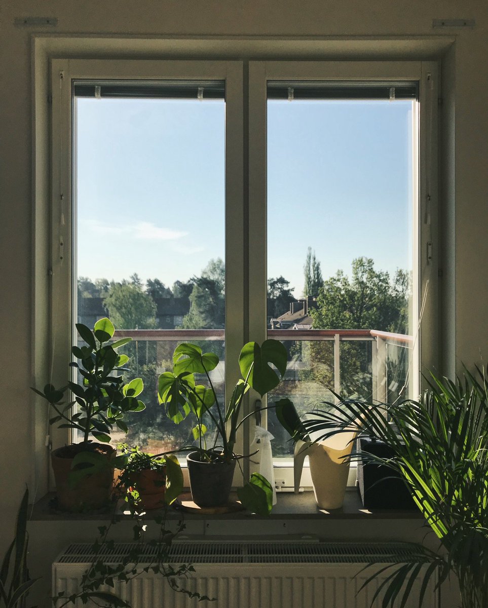 Sweden is kind this time of the year.