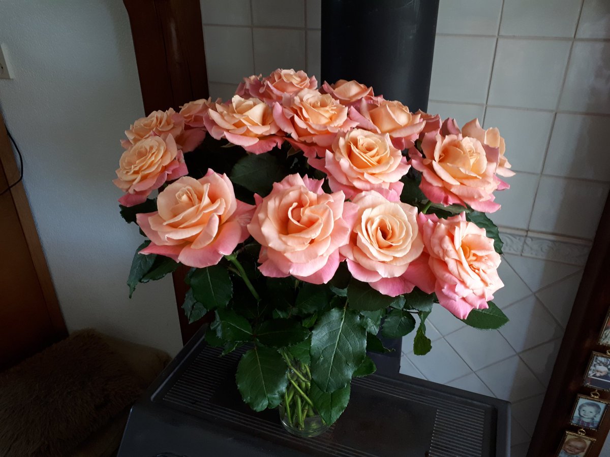 Miss Piggy dag 5 <a href="/porcellarosa/">Porcellarosa</a>