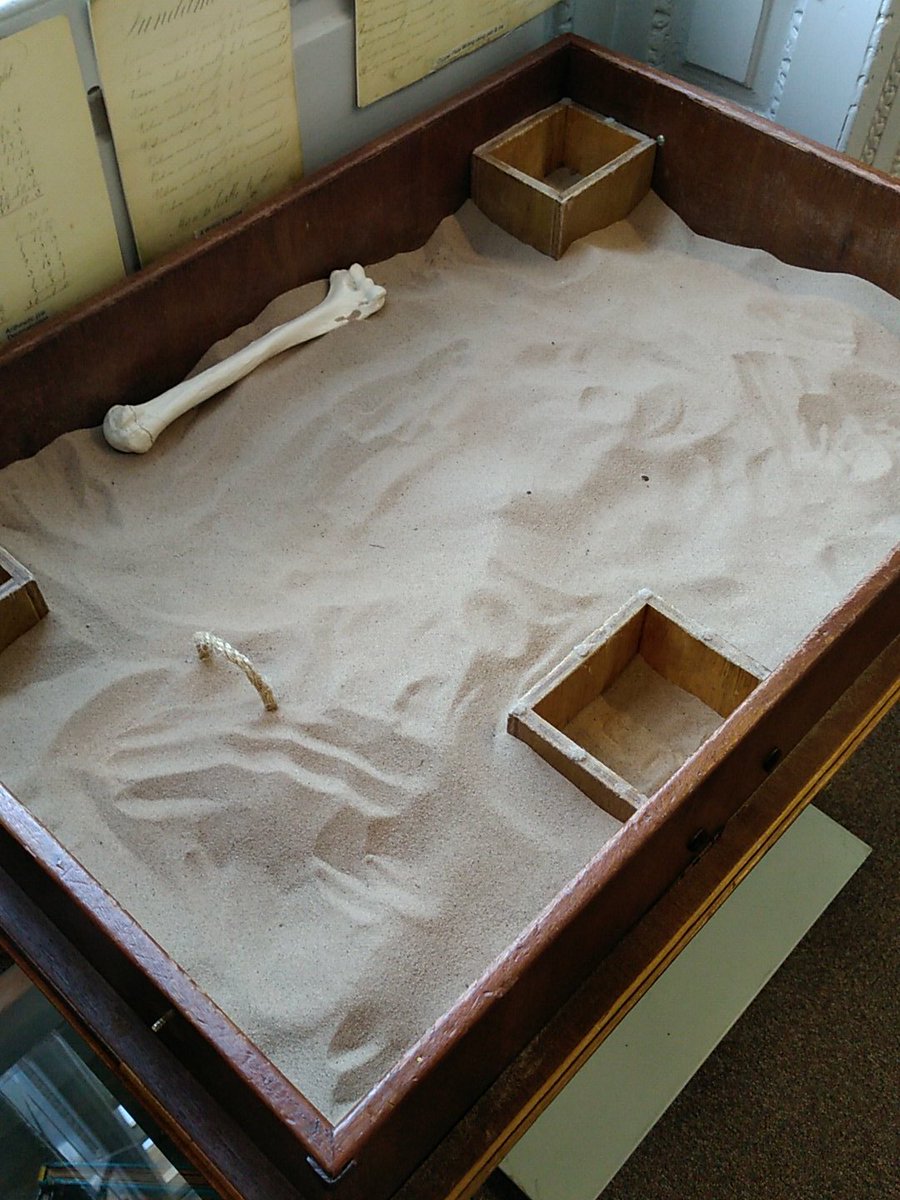 Our skeleton dig is back!  Bring the kids along for a dig to see what they can find!