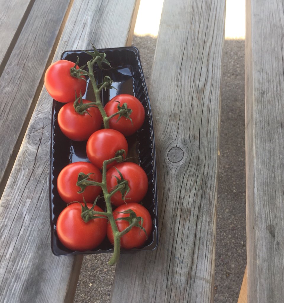 HarbingerSch's tweet photo. A #HappySunnyDay in the Harbinger playground #teachers #GettingDownWithTheKids #snacks #healthyschool ๐ https://t.co/beAlUs0mid