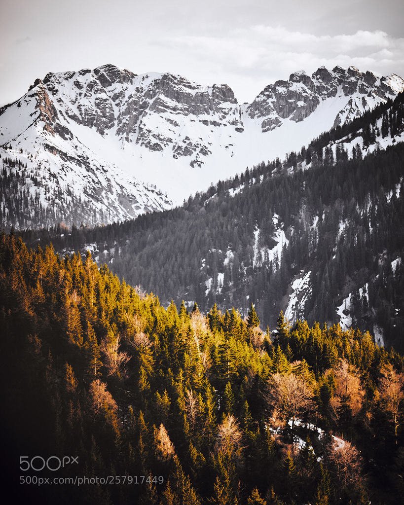 From green to white ? 
#mountainworld #snowmountain #berg #wanderers #adventurevisuals
 by volkerrastel #photo