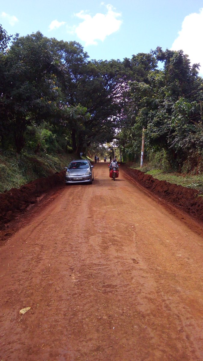 MCAColloMorris's tweet photo. Have started Murraming several access roads in Kirimari Ward. @pnmurimi9 #ColloDelivers https://t.co/7H74tTZUDe