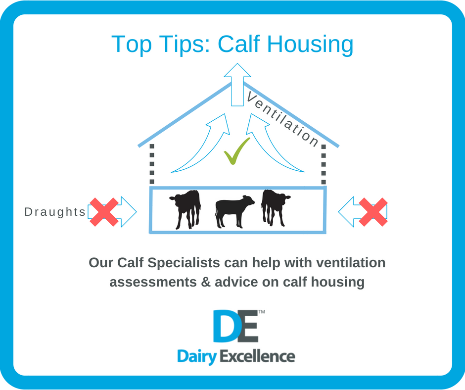 Even though it is getting warmer, calves are still at risk of pneumonia. Your #CalfHousing should have air movement &amp; good ventilation but always remember to prevent draughts. If you would like a FREE assessment of your #CalfRearing system call 07508 136409
#DairyExcellence