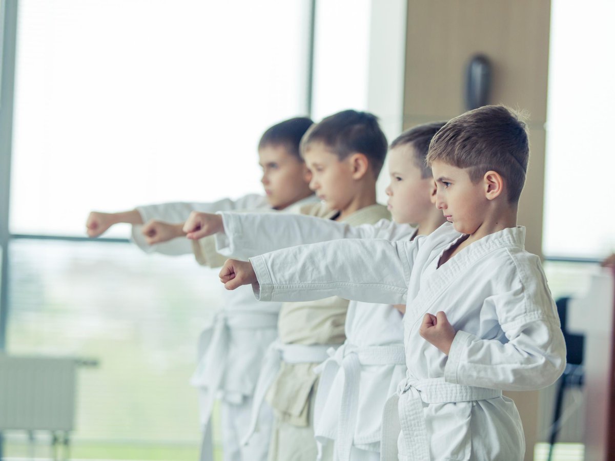 As well as increasing physical #fitness and #mentalhealth , martial arts can boost brain cognition too! ow.ly/GIf130k0hJT