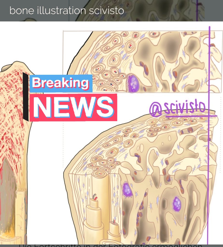 SciVisTo's tweet photo. @Rob_Dimeo @MDPIOpenAccess @realsci_DE Yes, but only parts of it, but that way, you can see some the fancy cellular details :) all done in #proceateapp https://t.co/DnJQDVsHFM