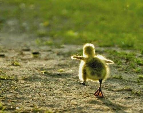 Não faças de ti um sonho a realizar. Vai! Sem caminho mar…