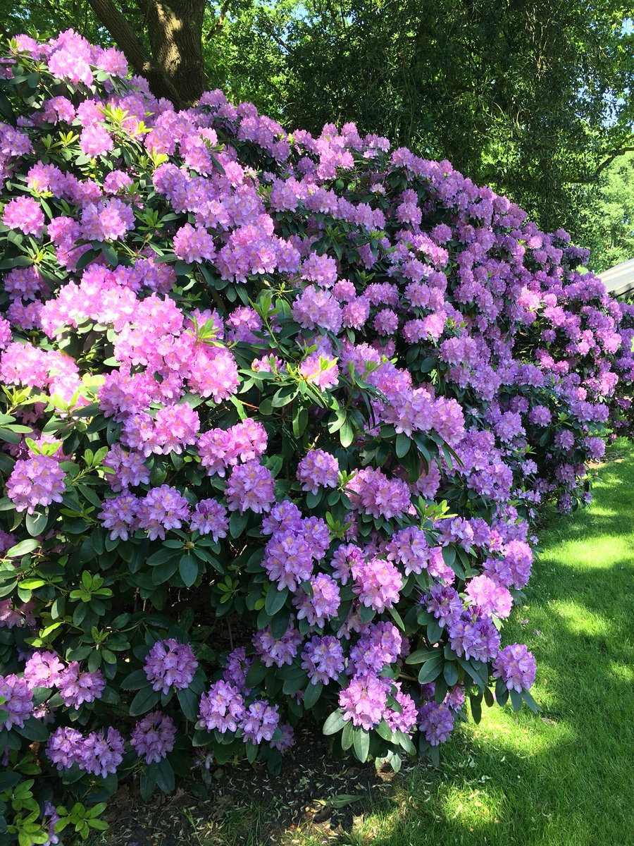 Onze terrasaankleding