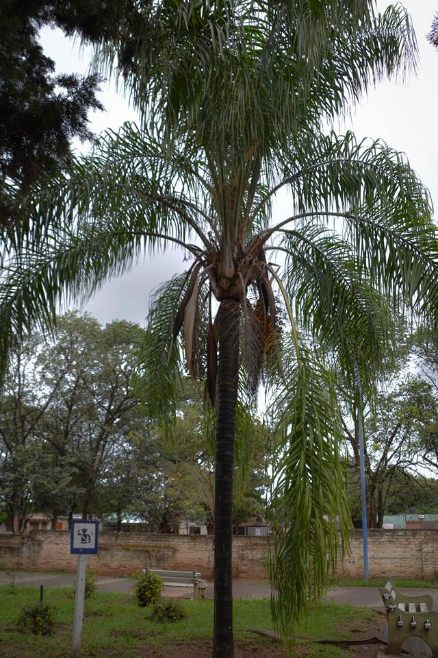 MTartagal's tweet photo. Estado del tiempo en la ciudad de #Tartagal

Cielos Cubiertos
19°
Sensación Térmica 19°C
Humedad 100%
Punto de rocío 17°C
Presión 1010 hPa

ULTIMOS DATOS REGISTRADOS A LAS 08:00 HS.

Lugar: Complejo Deportivo Martín Miguel de Güemes https://t.co/HfNIkNnIwg