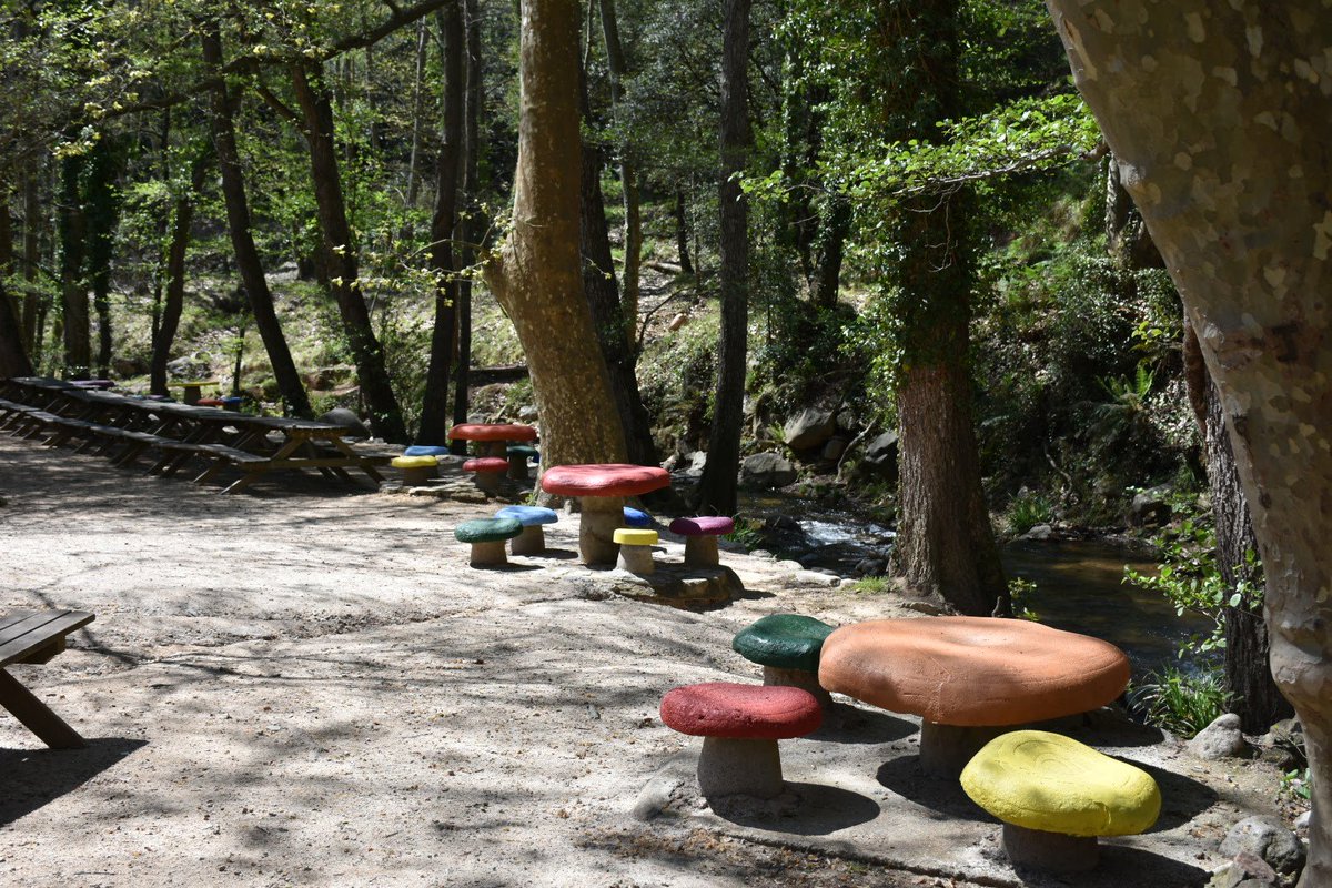 parcdegualba's tweet photo. PICNIC I BARBACOES
Zona de picnic i barbacoes a un dels racons encantats del Montseny. Zona de jocs infantils

Caps setmana i festius reserva prèvia

Més info: https://t.co/keviV4qU0U

#picnic #barbacoa #raconsencantats #gualba #montseny #natura #desconnexio https://t.co/C1sgrU8dPC