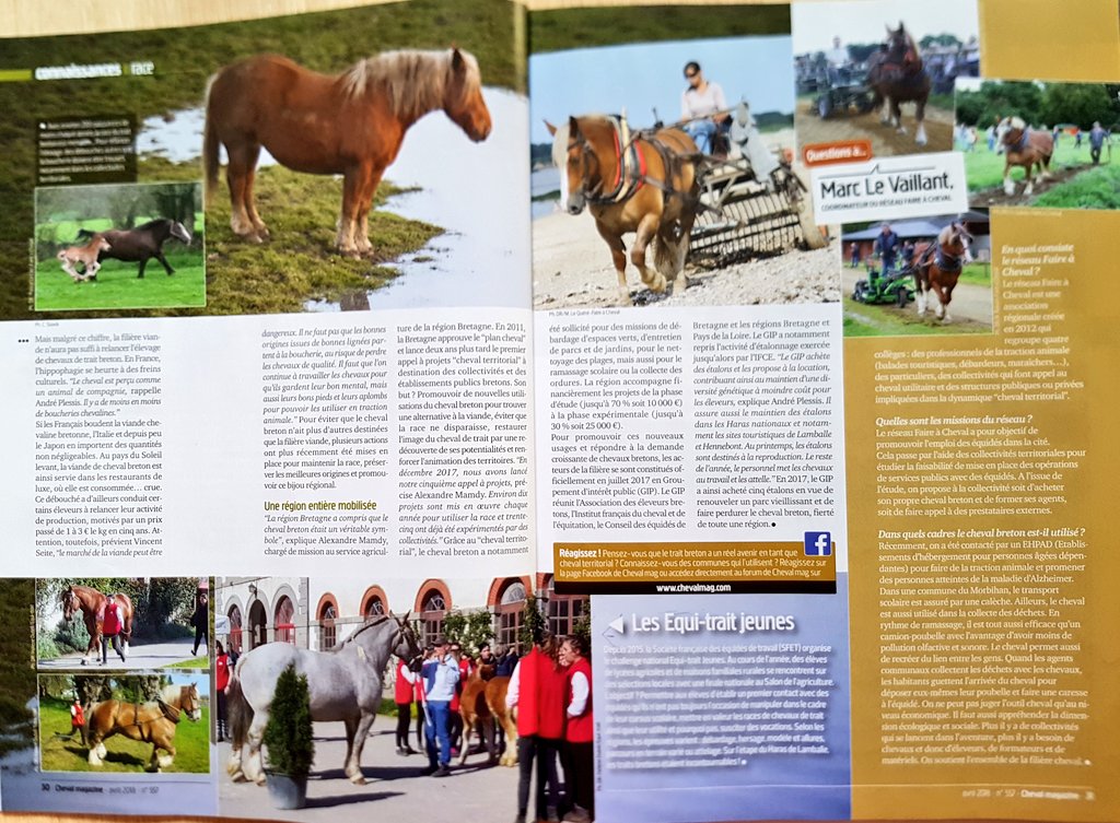 ClaireGriot's tweet photo. Portrait du Cheval Breton dans @ChevalMag, ce véritable emblème breton est aujourd'hui menacé. Découvrez la mobilisation de la région Bretagne pour le maintenir dans le paysage 👌 @regionbretagne #chevalbreton #chevalmag https://t.co/zvohX2D63L