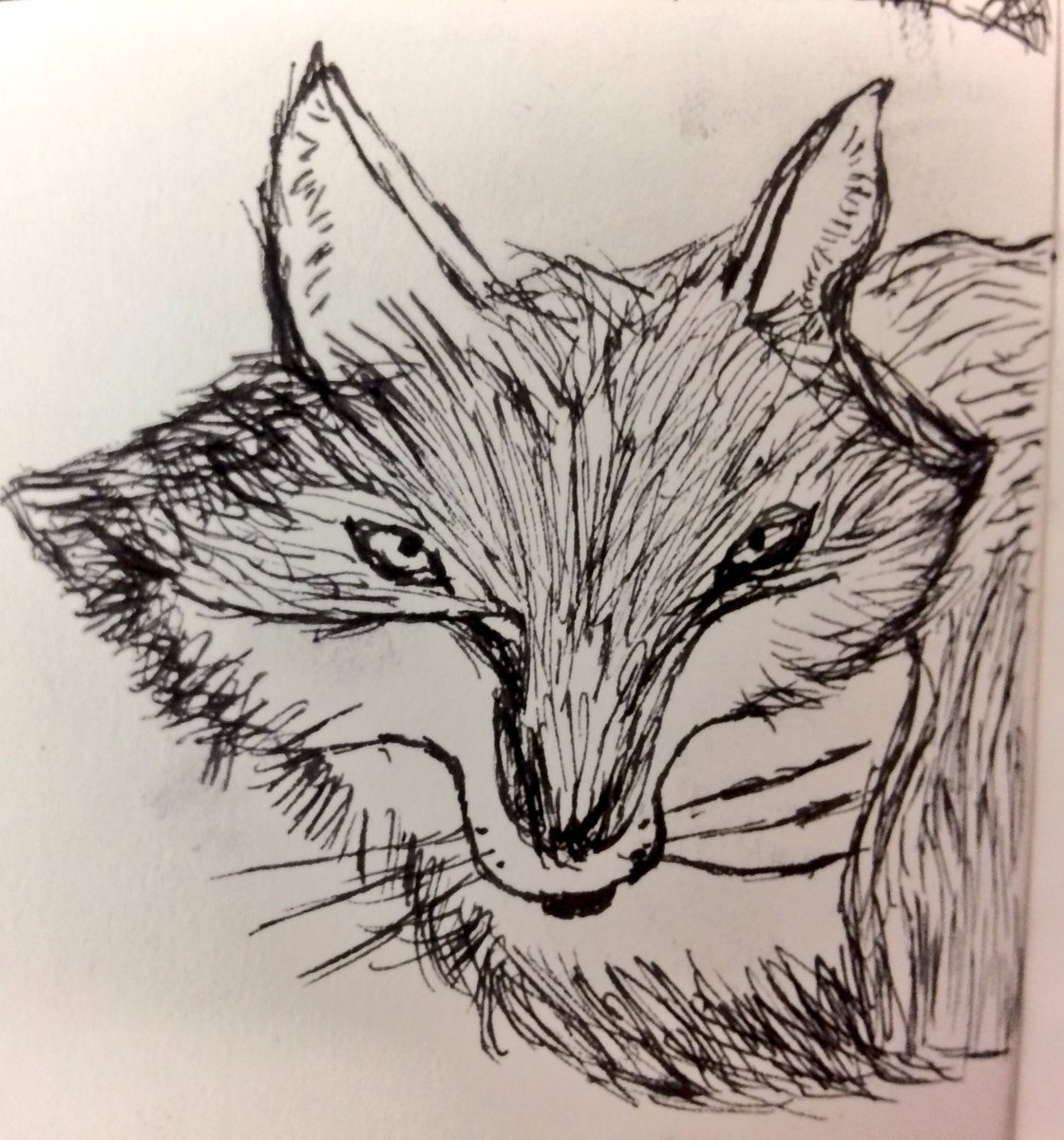 BPSYearFive's tweet image. We've been inspired to create illustrations for our epic poems by @neilhimself and @chrisriddell50 - we adore 'Odd and the Frost Giants'! Here is a sample of what we're doing to practise. Our very own creations will follow soon!