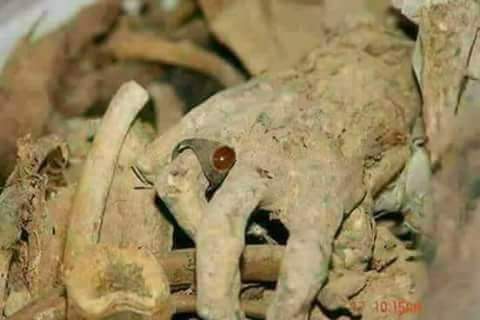wajdan_e_ishq's tweet photo. غرور کس بات کا ہے تجھے اے خاک کے پتلے 
تیری عمر تو اس انگوٹھی کے برابربھی نہیں .... https://t.co/QHYpJ9nNCj
