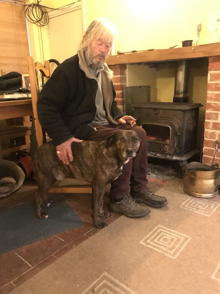 ktailsme's tweet image. Love that this 4 legged fur ball refuses to leave his side......unless I turn up with TREEEEATS #murphy #4legs
Glad I’ve given Dad a good trim up since this pic.....even if it was with kids blunt ended scissors 😂