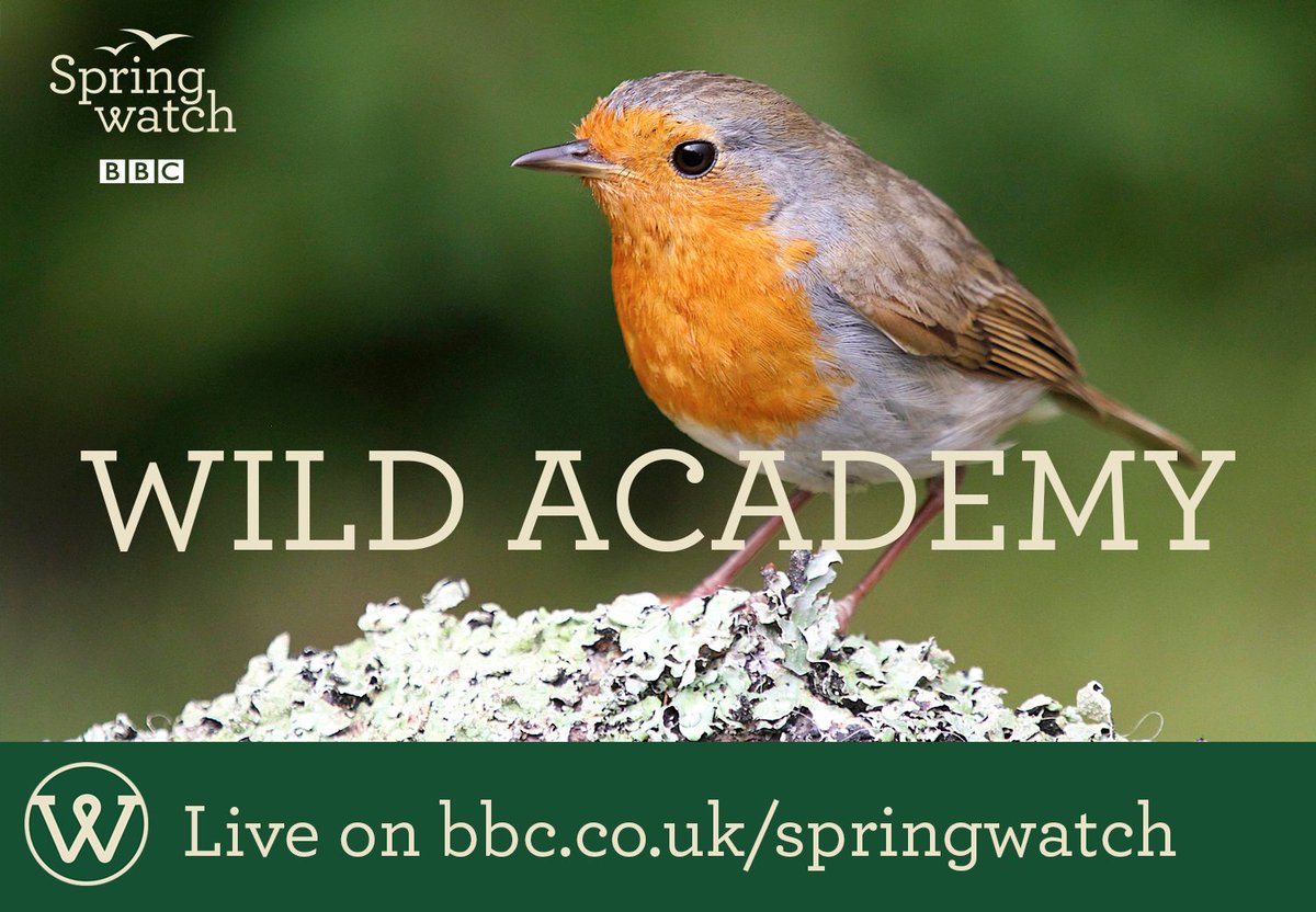 👩‍🎓🐣🐞🐸 Join us LIVE for all NEW #Springwatch Wild Academy this June. Eight progs specially for children and schools! 

👉 bbc.in/2jW5Dj9 #WildAcademy